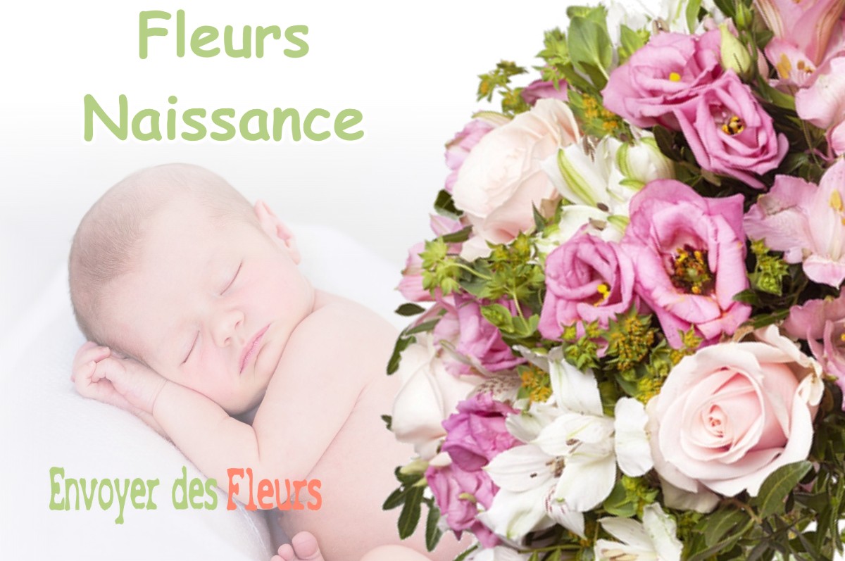 lIVRAISON FLEURS NAISSANCE à MEES